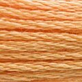 DMC Six Strand Floss #3854