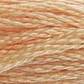 DMC Six Strand Floss #3856