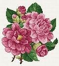 Pink Peonies - Cross Stitch Pattern