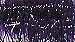 Estaz - Plum