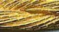 Kreinik Japan Gold Thread #7 (002J)