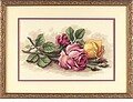 Rose Cuttings - Cross Stitch Kit