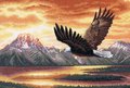 Silent Flight - Cross Stitch Kit
