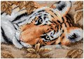 Beguiling Tiger - Cross Stitch Kit