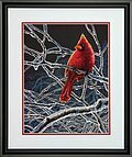 Ice Cardinal - Cross Stitch Kit