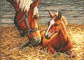Good Morning (Horse and Foal) - Cross Stitch Kit