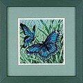 Butterfly Duo - Needlepoint Kit