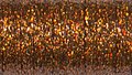1/16" Ribbon #021L - Coptic Copper