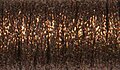 1/8" Ribbon #052HL - Bronze High Lustre