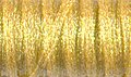 1/8" Ribbon #091 - Star Yellow