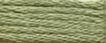 NPI Silk #542