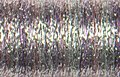 Kreinik Ombre 1600 - Misty Lavender