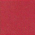 Perforated paper - Winterberry