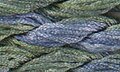 Dinky Dyes Silk Thread - Daintree