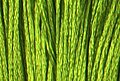 Satin DMC Floss #S471