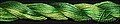 Threadworx Floss 5 Yard - Tropical Green (1047)