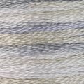 Stormy Skies - Color Variations Floss (4015)