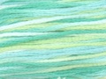 Water Lilies - Color Variations Floss (4040)