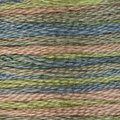 Morning Meadow - Color Variations Floss (4065)