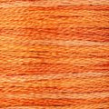 Bonfire - Color Variations Floss (4124)