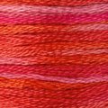 Wild Fire - Color Variations Floss (4200)