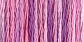 Enchanted - Color Variations Floss (4260)