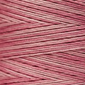 Weeks Dye Works - Madison Rose #2284