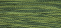 Collards - Weeks Dye Works Pearl Cotton #5