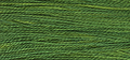 Holly - Weeks Dye Works Pearl Cotton #5