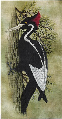 06-1935