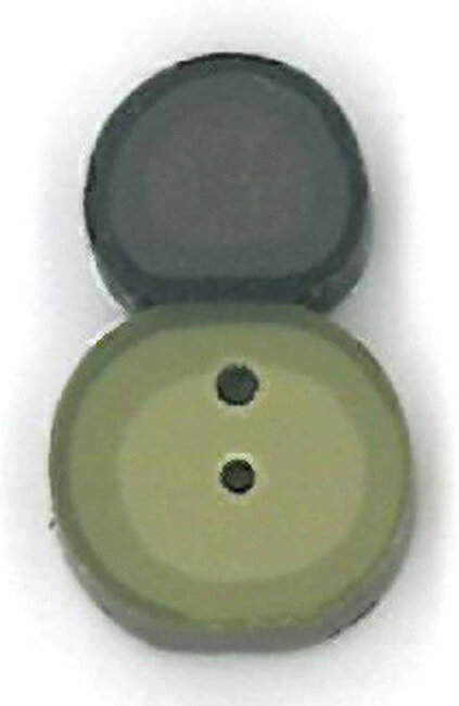 1209S