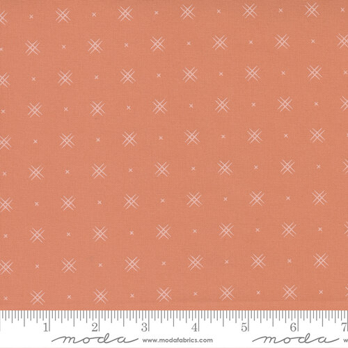 Beyond Bella Coral - Quilt Fabric