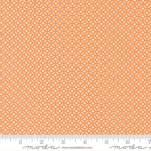 Harvest Moon Pumpkin - Harlequin Blenders - Quilt Fabric