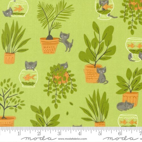 Here Kitty Kitty Pistachio - Quilt Fabric