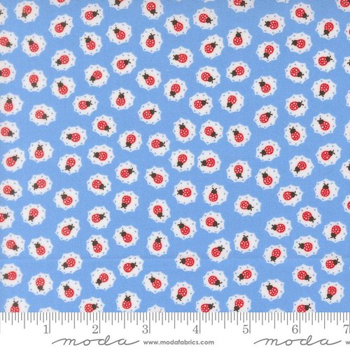 On The Porch Ladybugs Blue Sky - Quilt Fabric