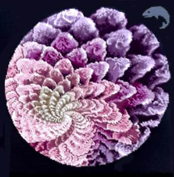 24-1786