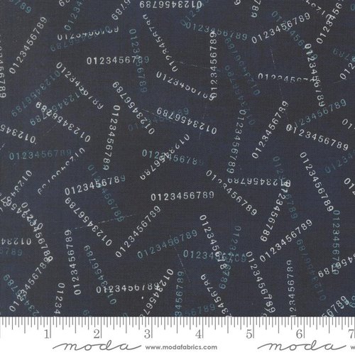 Data Digits Hawking - Quilt Fabric