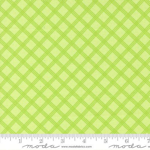 Joysome Gingham Honeydew - Quilt Fabric