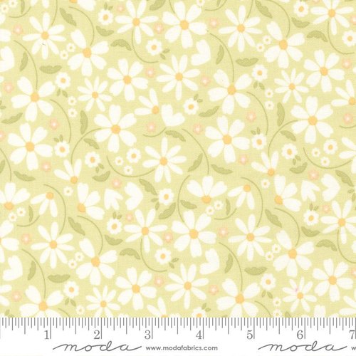 Dear Daisy Flower Sprout - Quilt Fabric