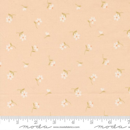 Dear Daisy Blossoms Apricot - Quilt Fabric