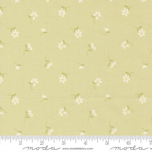 Dear Daisy Blossoms Sprout - Quilt Fabric