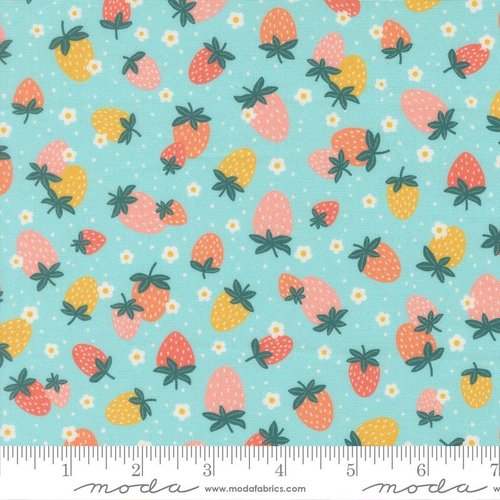 Hop Into Spring Strawberry Sky - Quilt Fabric