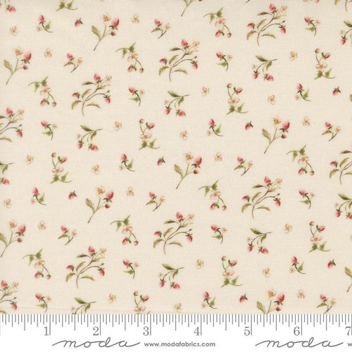 Fable and Fern Flowers Eggshell - Quilt Fabric