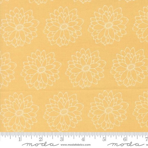 Catching Sunshine Sketch Sunshine - Quilt Fabric