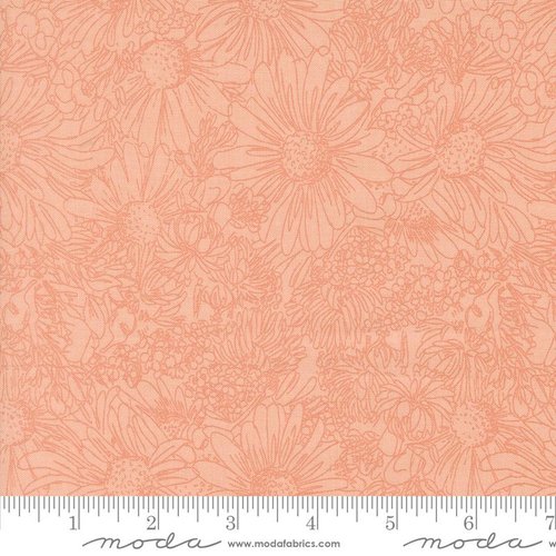 Ladybug Whimsy Sketchs Pretty Pink - Quilt Fabric