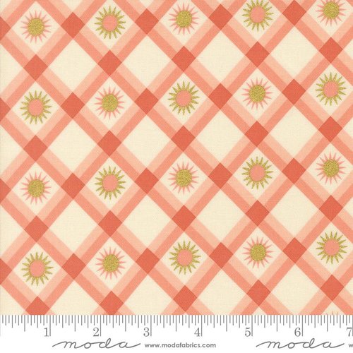 Ladybug Whimsy Check Zinnia - Quilt Fabric