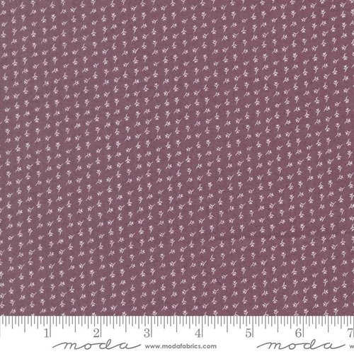 Wildflower Gatherings Sprigs Coneflower - Quilt Fabric
