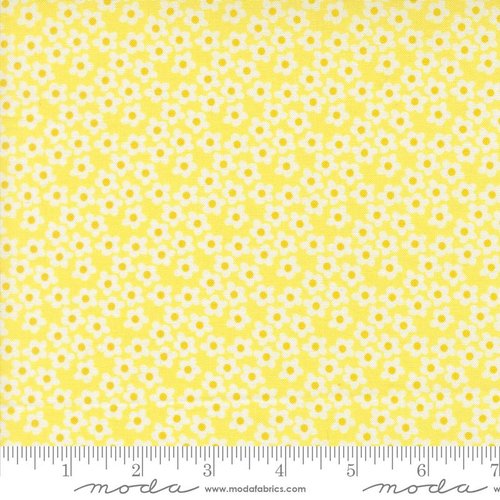 Popcorn Flowers Sunshine - Quilt Fabric