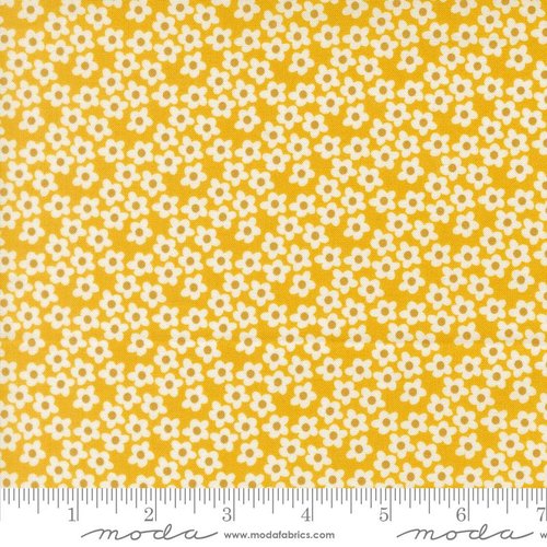 Popcorn Flowers Orange - Quilt Fabric
