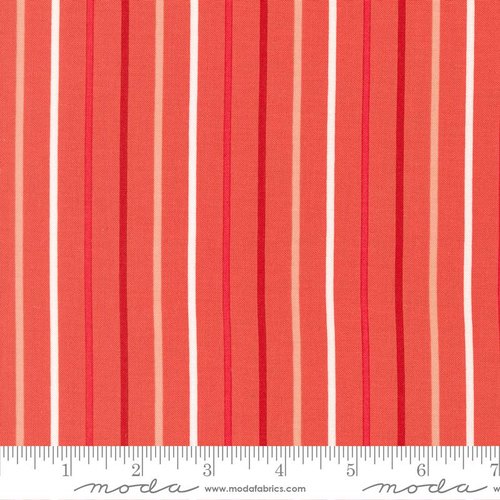 Magic Stripe Raspberry - Quilt Fabric
